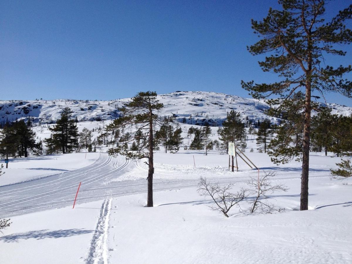 Vila Vradal Panorama - Tiurasvegen 39 Exteriér fotografie